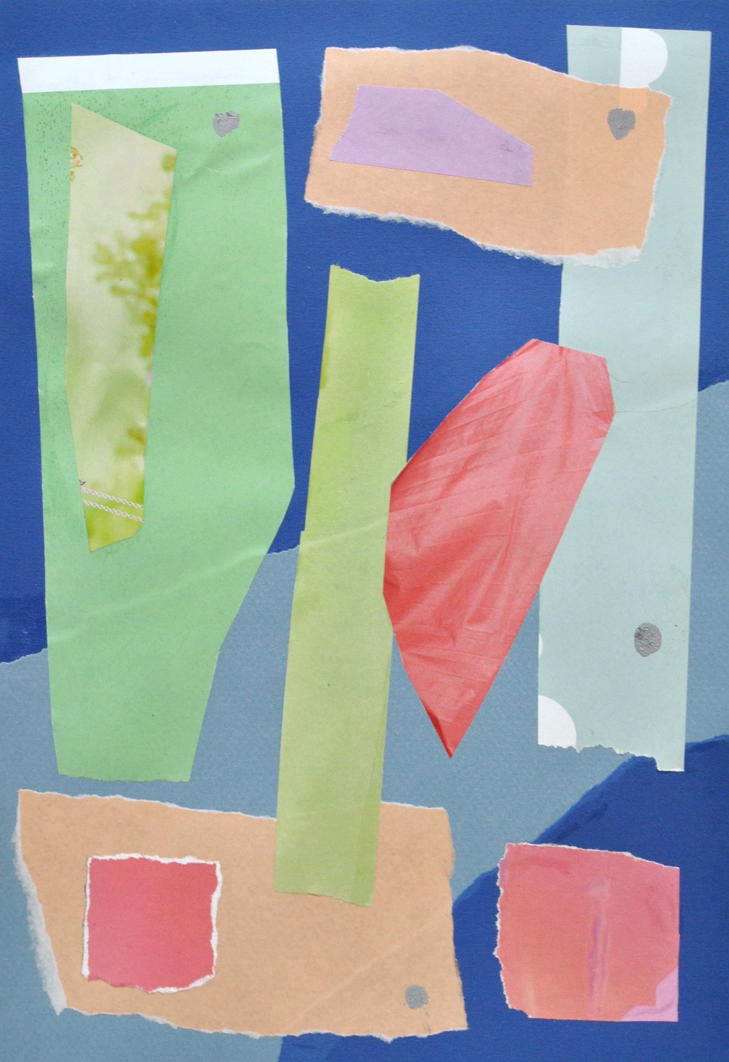 Tess Williams Salvador