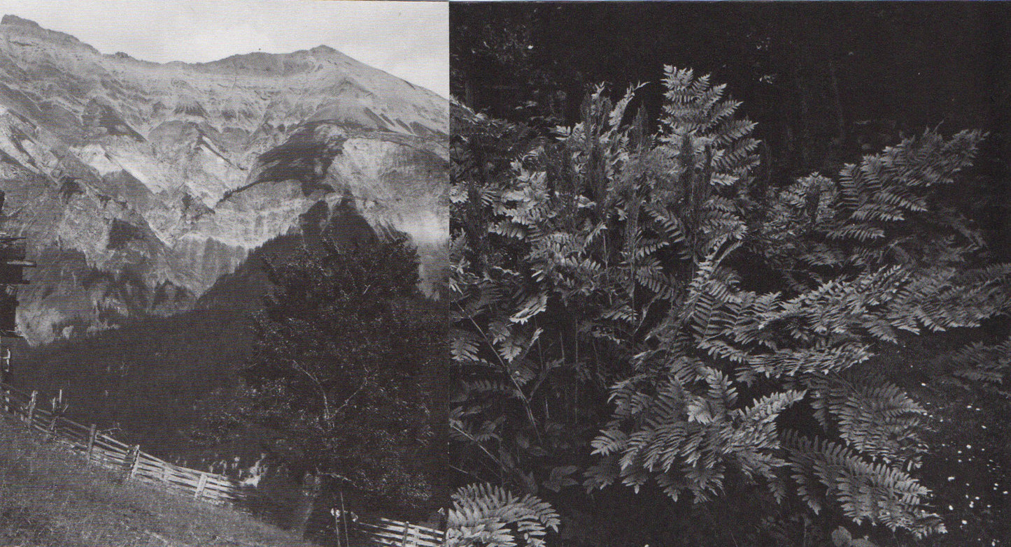 Gary Colclough Untitled (Collage 11)