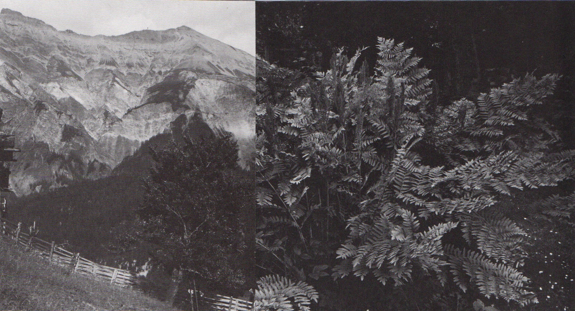 Gary Colclough Untitled (Collage 11)