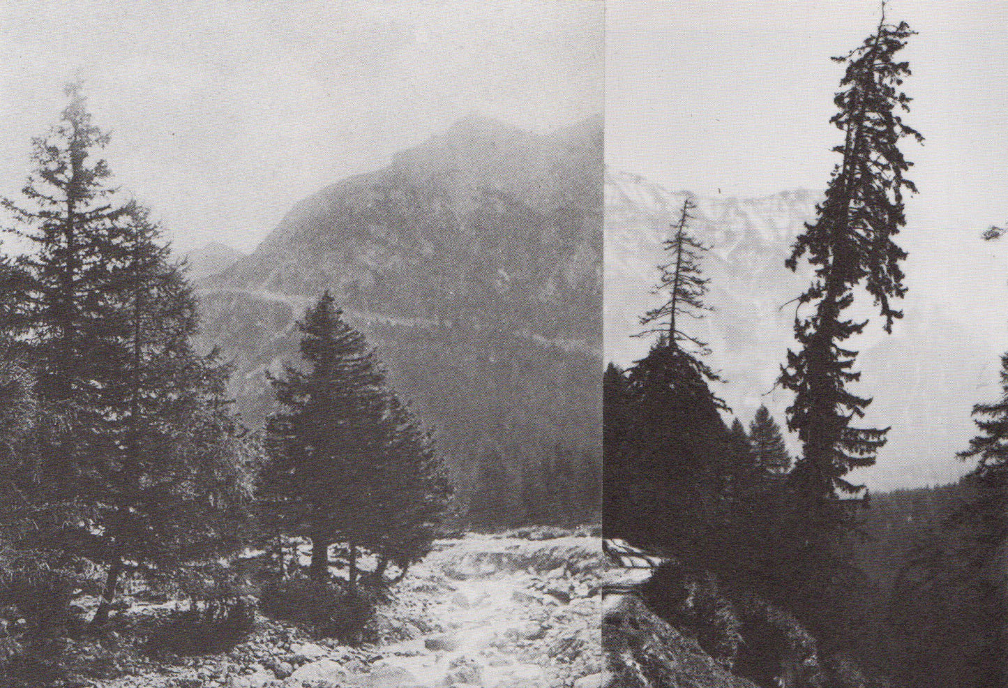 Gary Colclough Untitled (Collage 6)