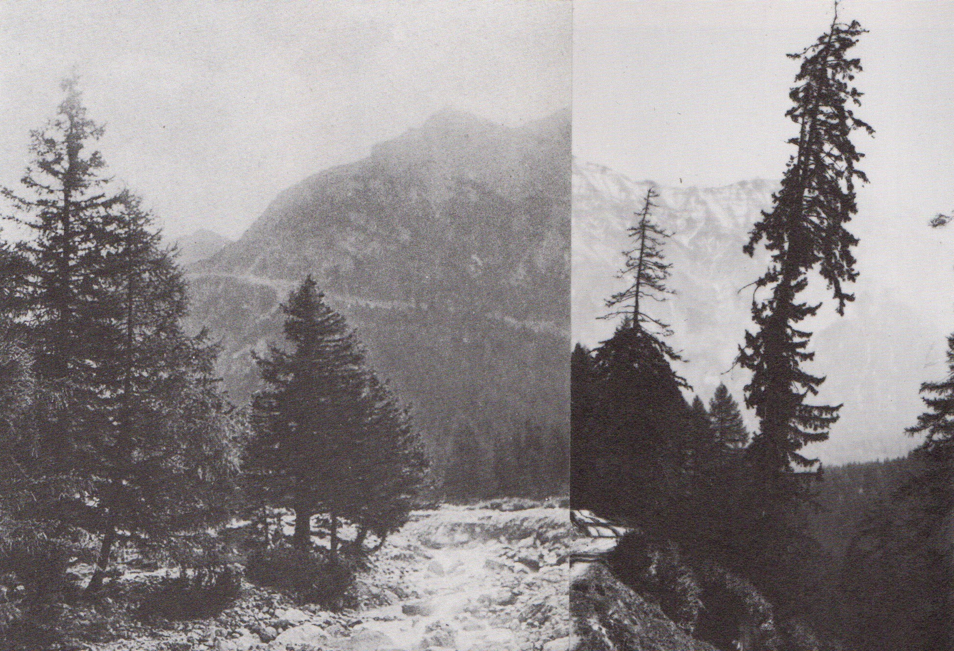 Gary Colclough Untitled (Collage 6)