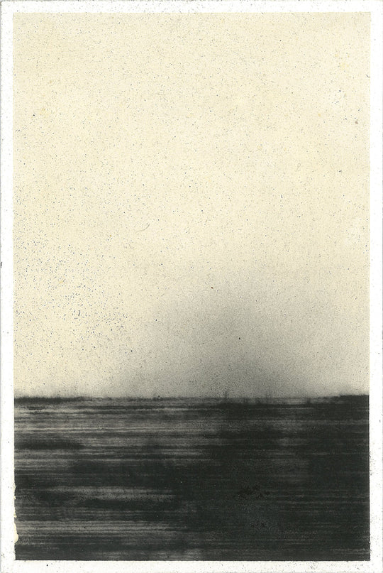 Patrizia Novello Processo #2