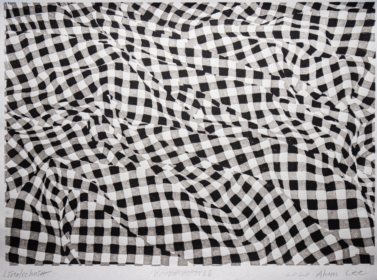 Alum Lee Gingham Check Pattern 66