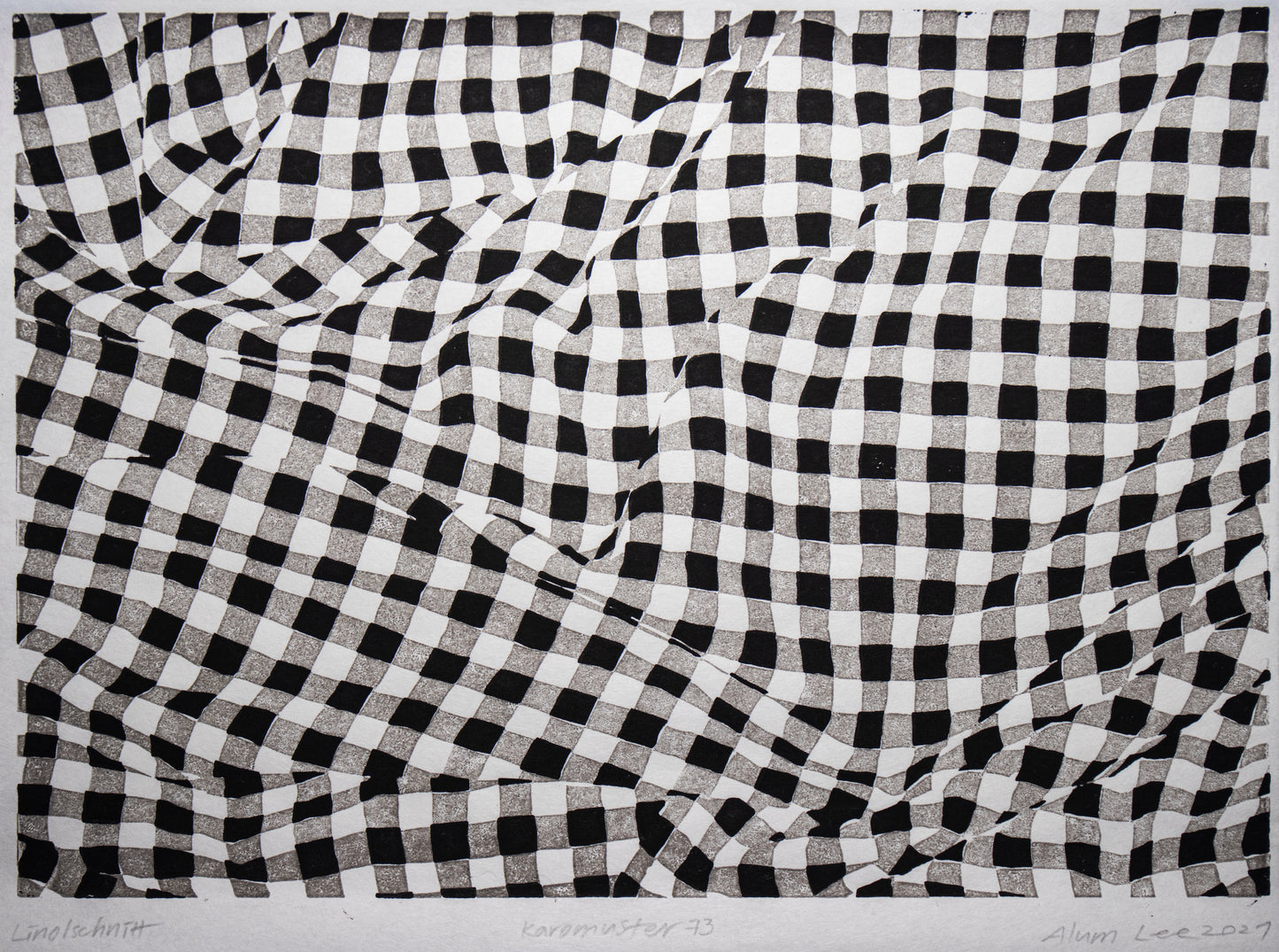 Alum Lee Gingham Check Pattern 73