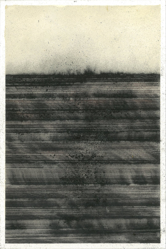 Patrizia Novello Processo #6