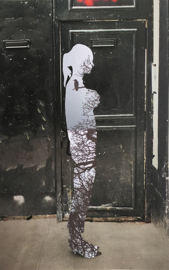 Lynn Dennison Crow