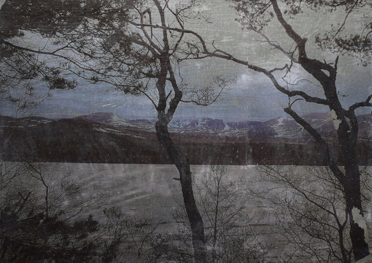 Alice Wilson Morlich