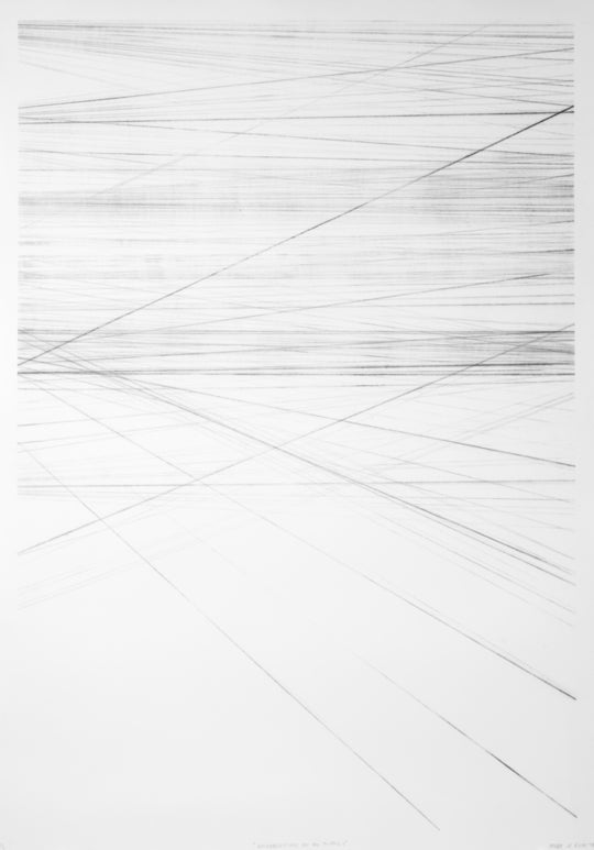 Pierre Le Riche Reverberations on an X axis 2