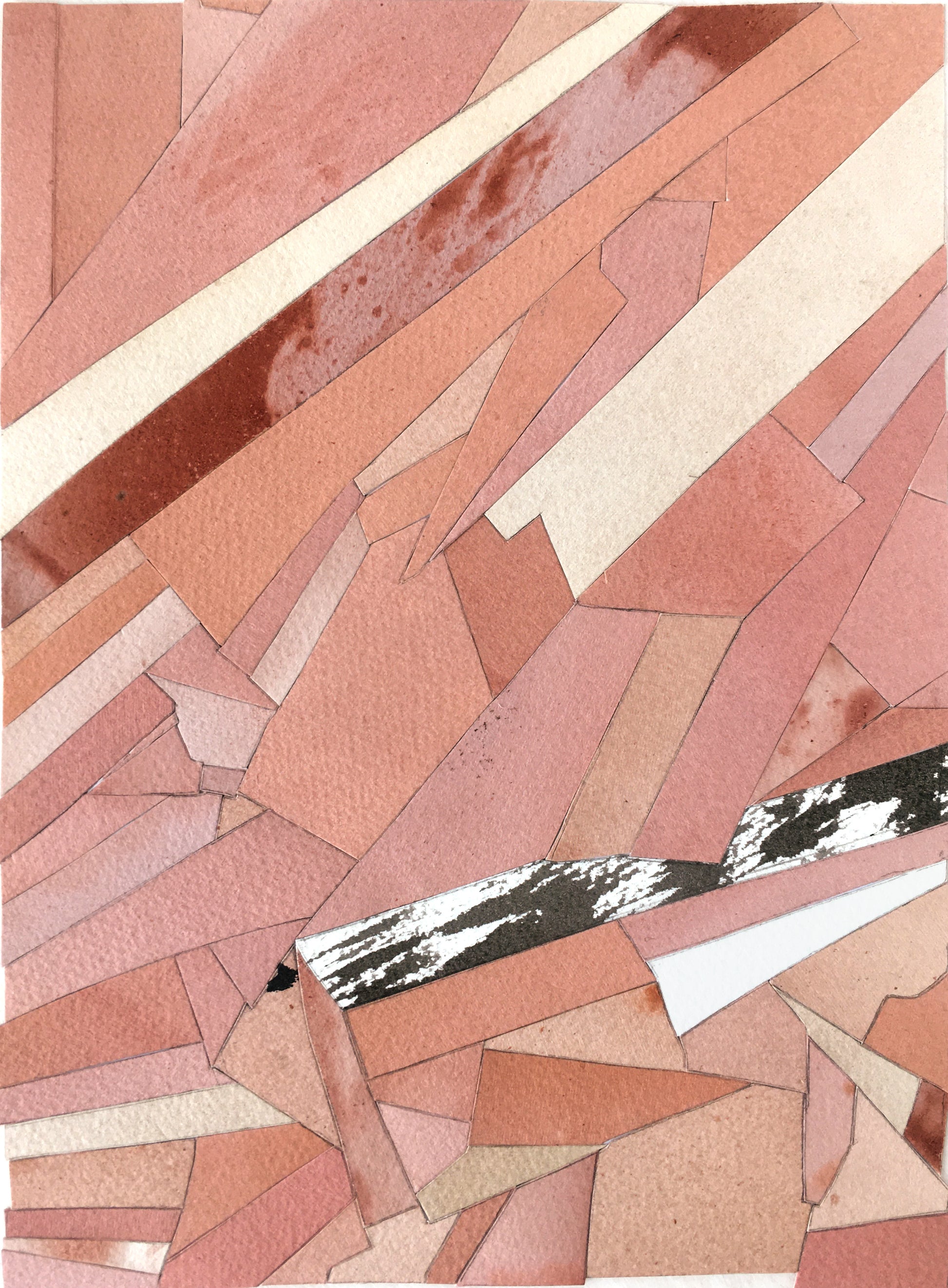 Nick Maroussas Flesh and Bone (Plate I)