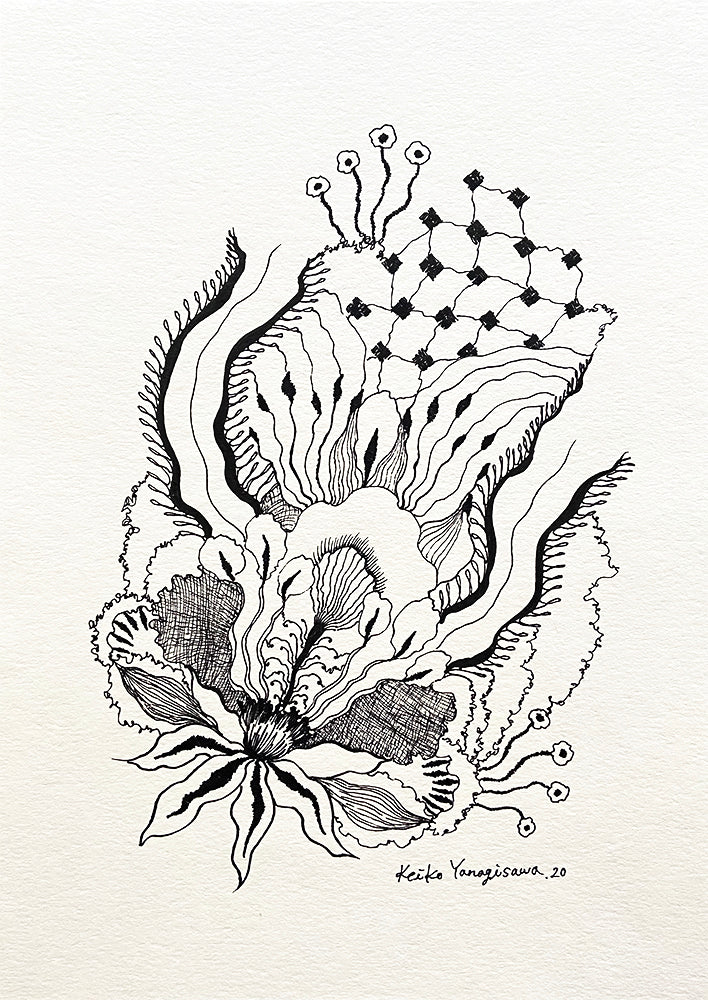 Keiko Yanagisawa Flower in Black and White