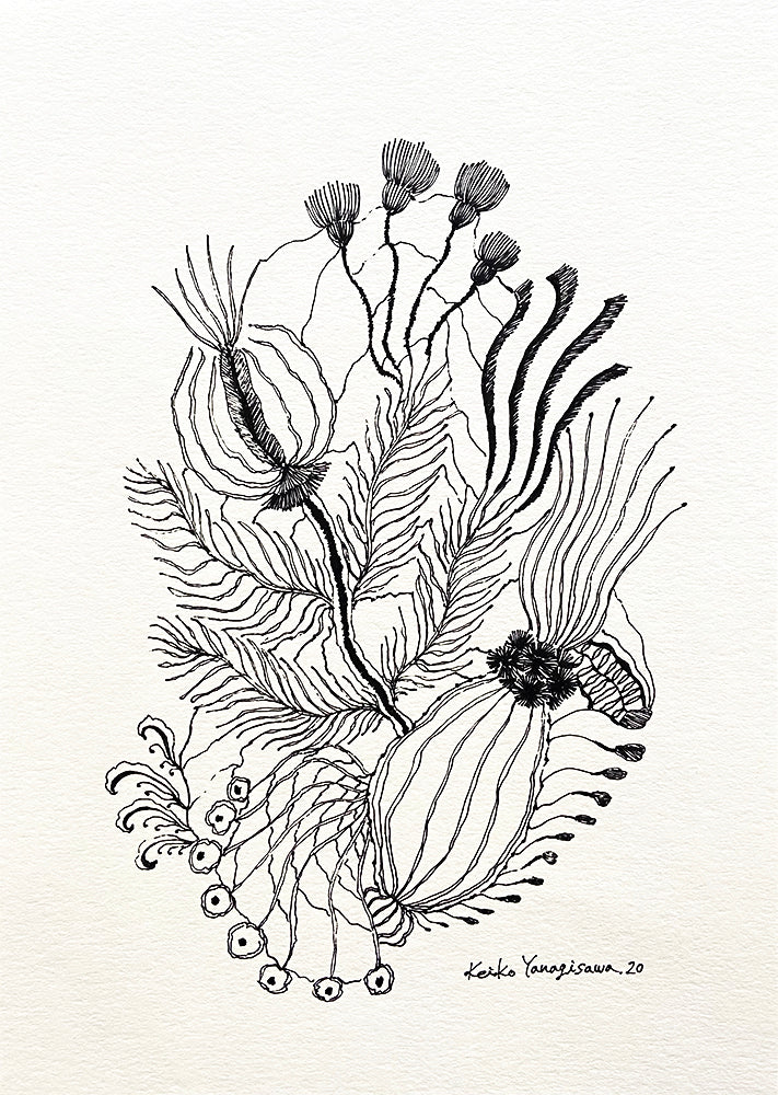 Keiko Yanagisawa Flower in Black and White