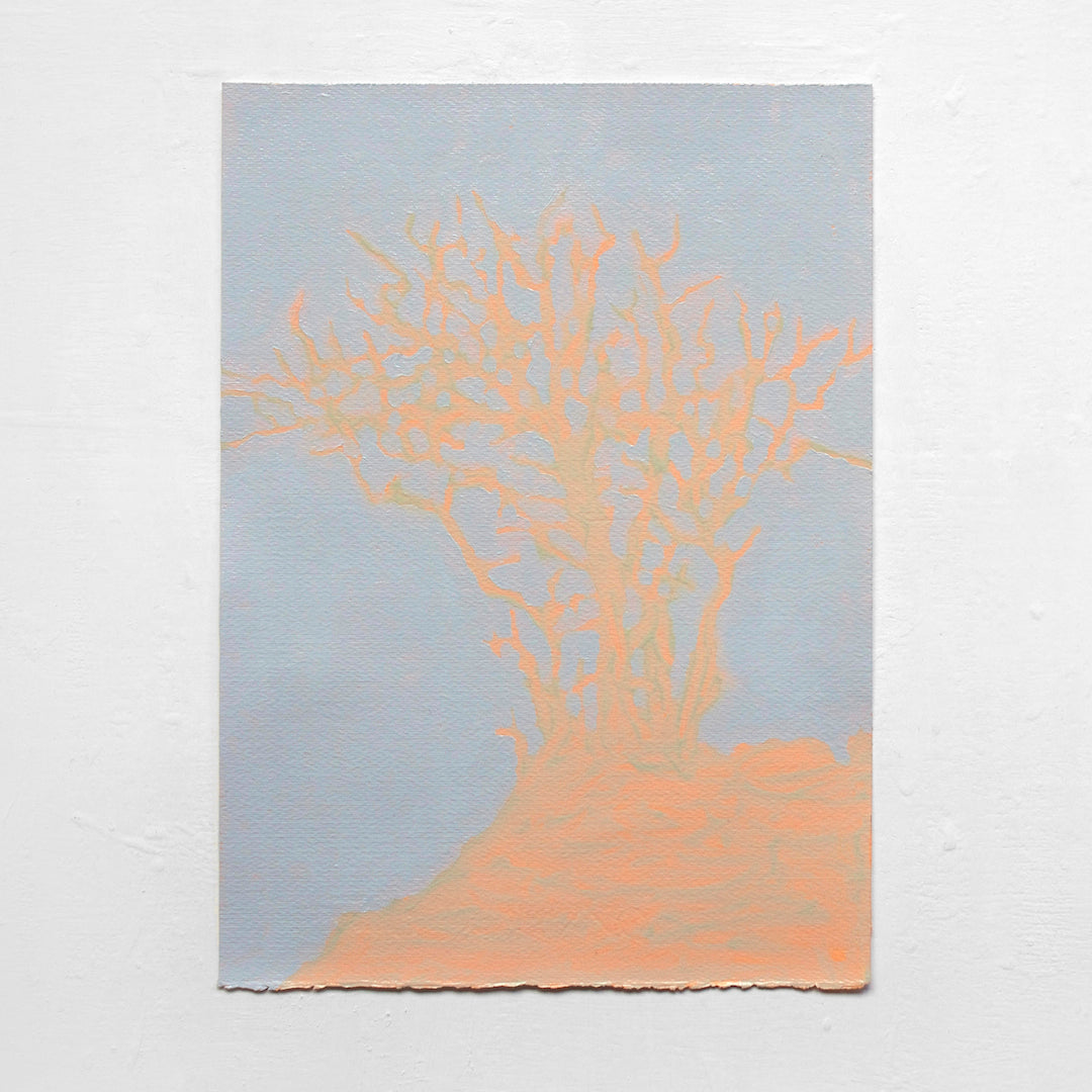 Mark Beldan Island