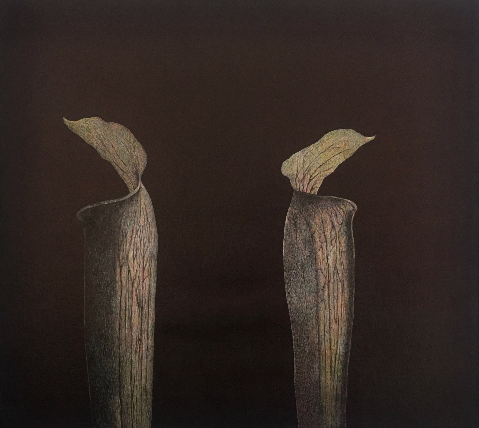 Lloyd Durling Jack in the Pulpit Doppelganger
