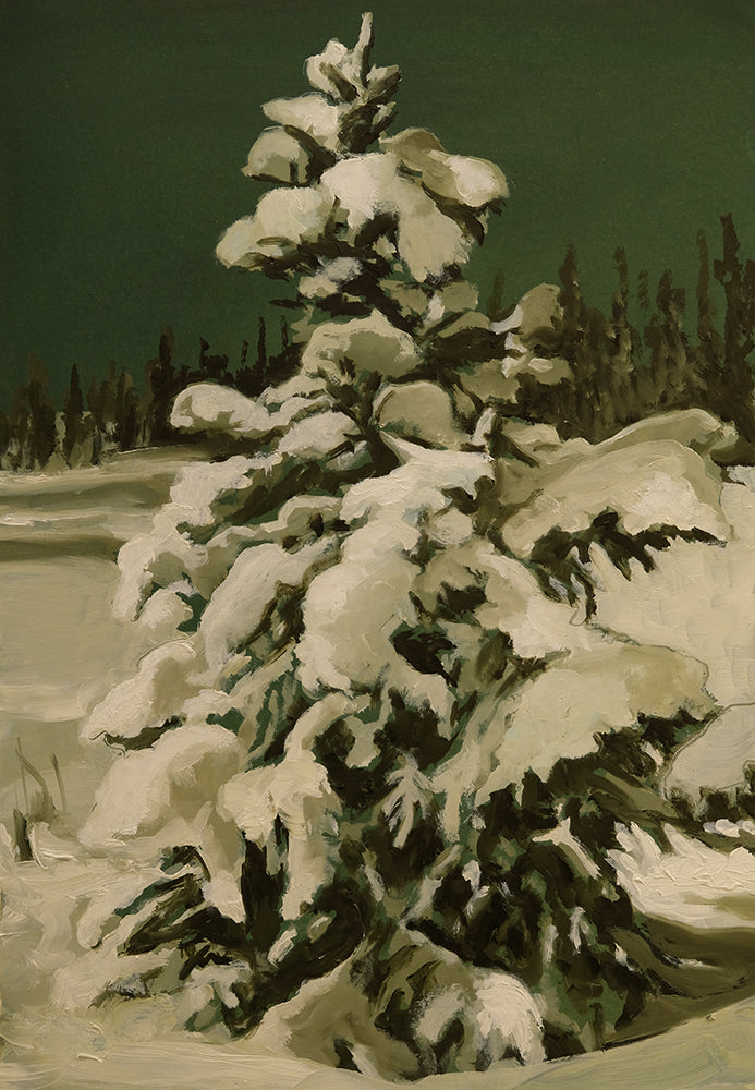 Joakim Allgulander Winter Pine