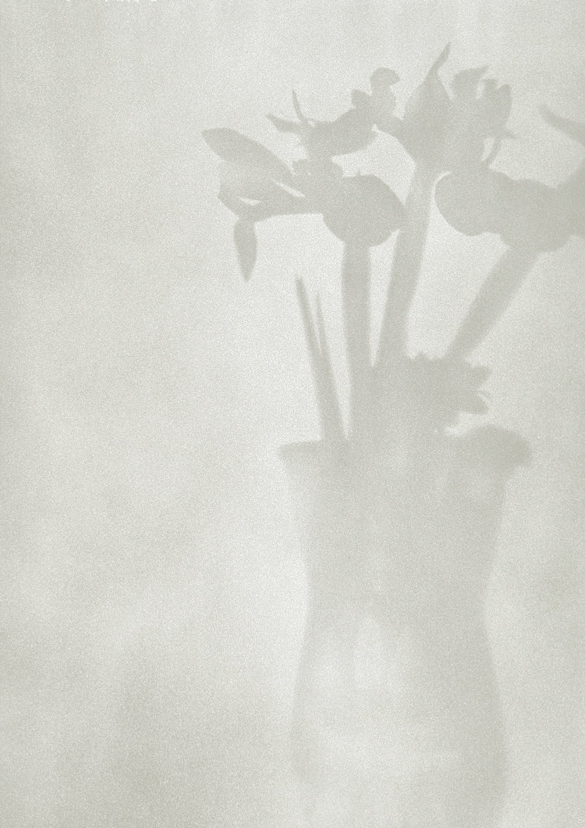 Michael Boffey Light Vase Plate 2