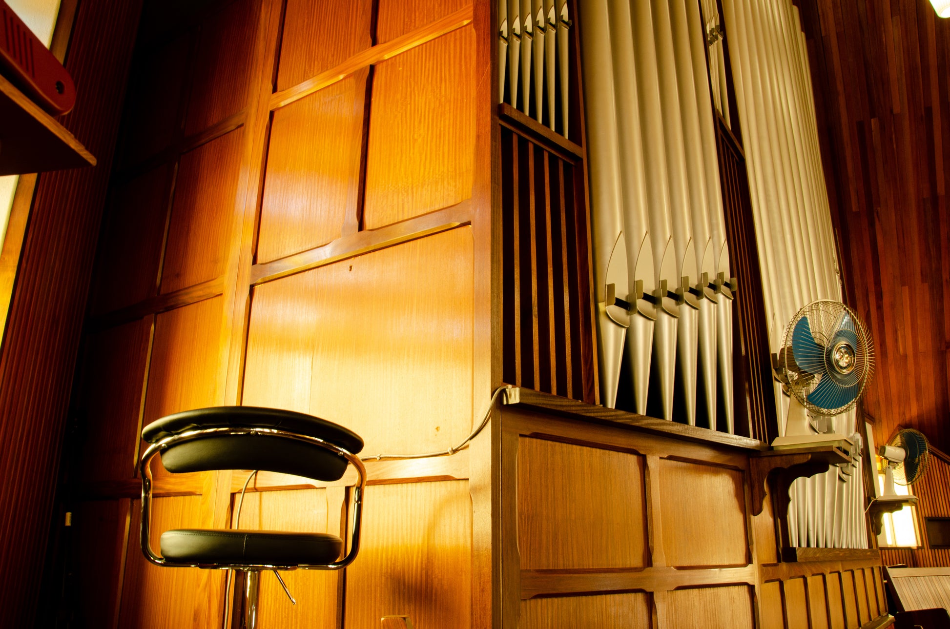 Siyabonga Mahlaba Organ