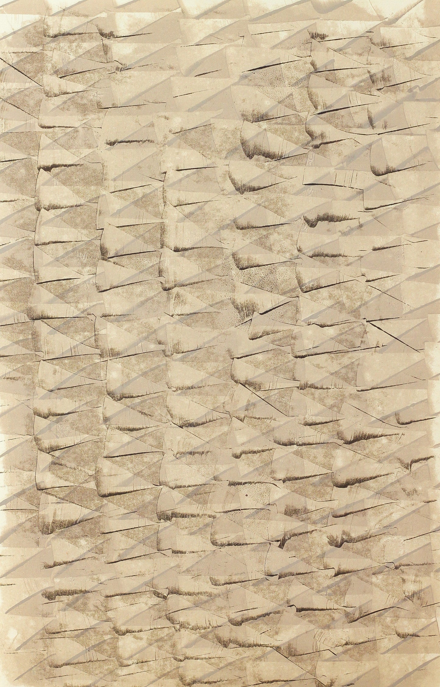 Krista Mezzadri Palm