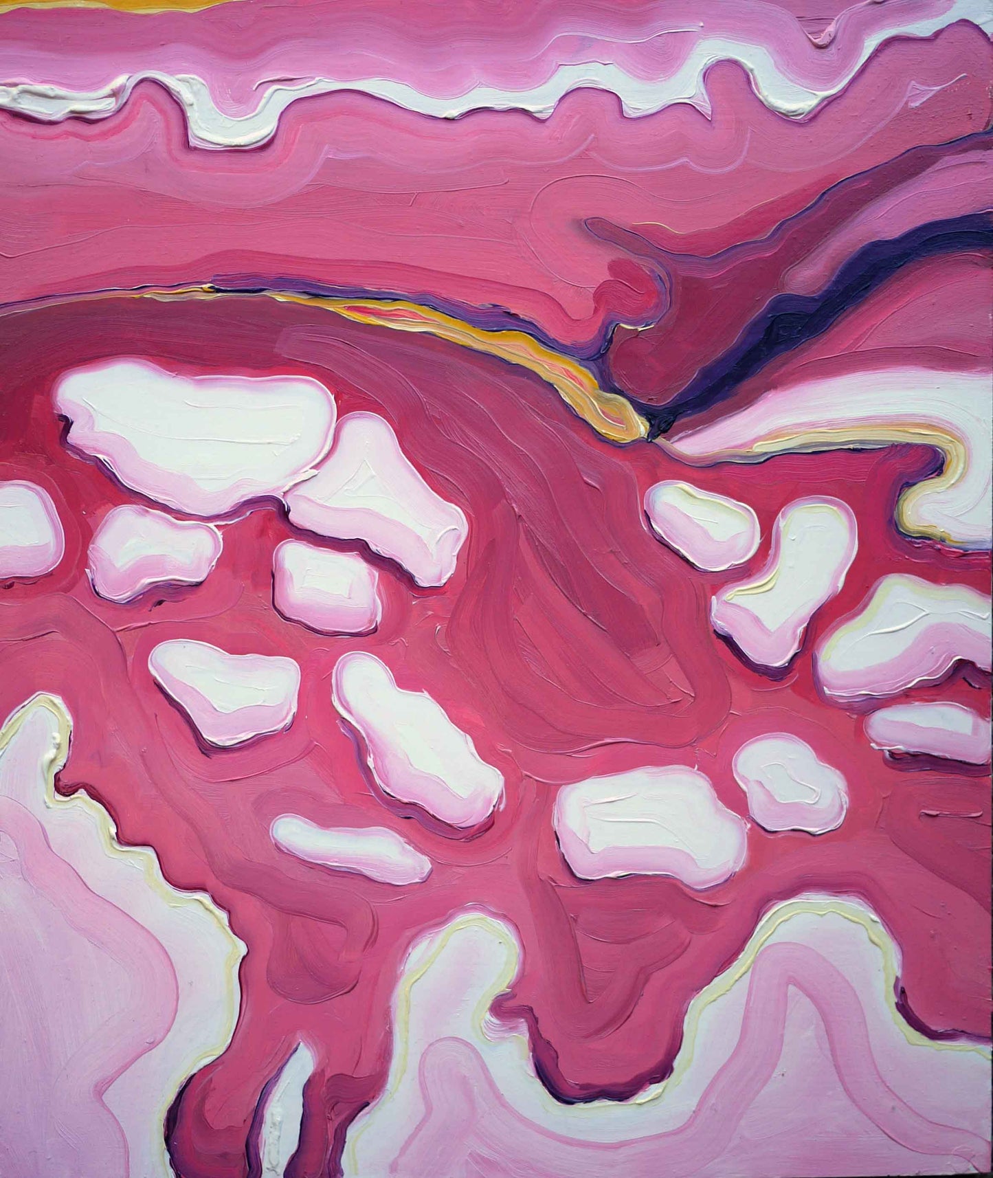 Harland Viney Pink Pond Study I