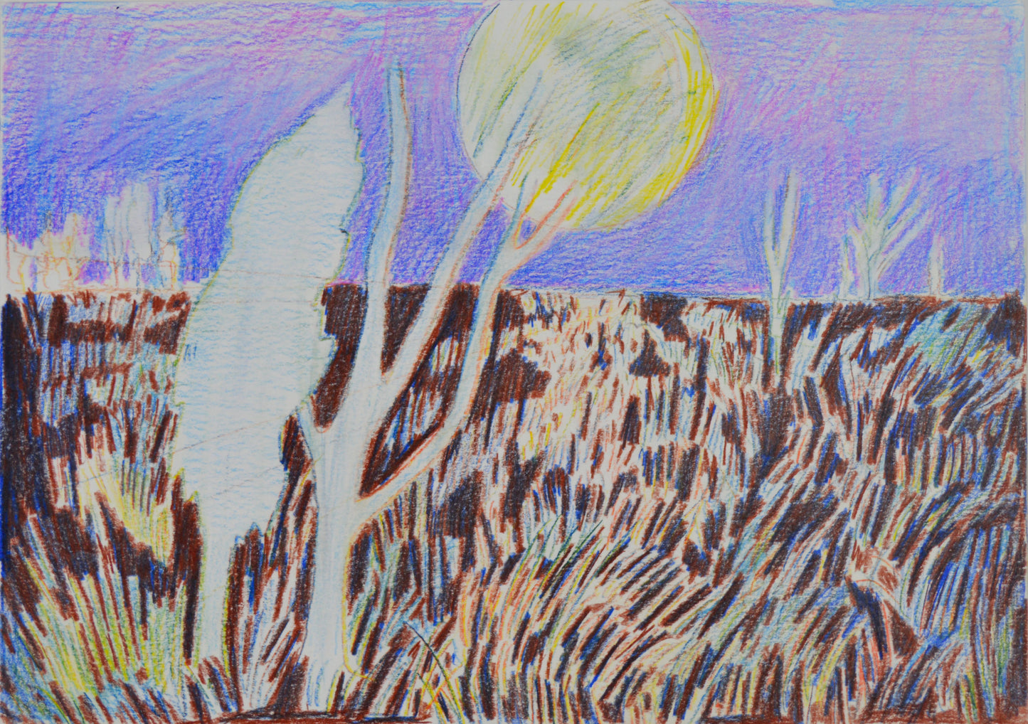 Julie-Ann Simpson Sowing Moonlight