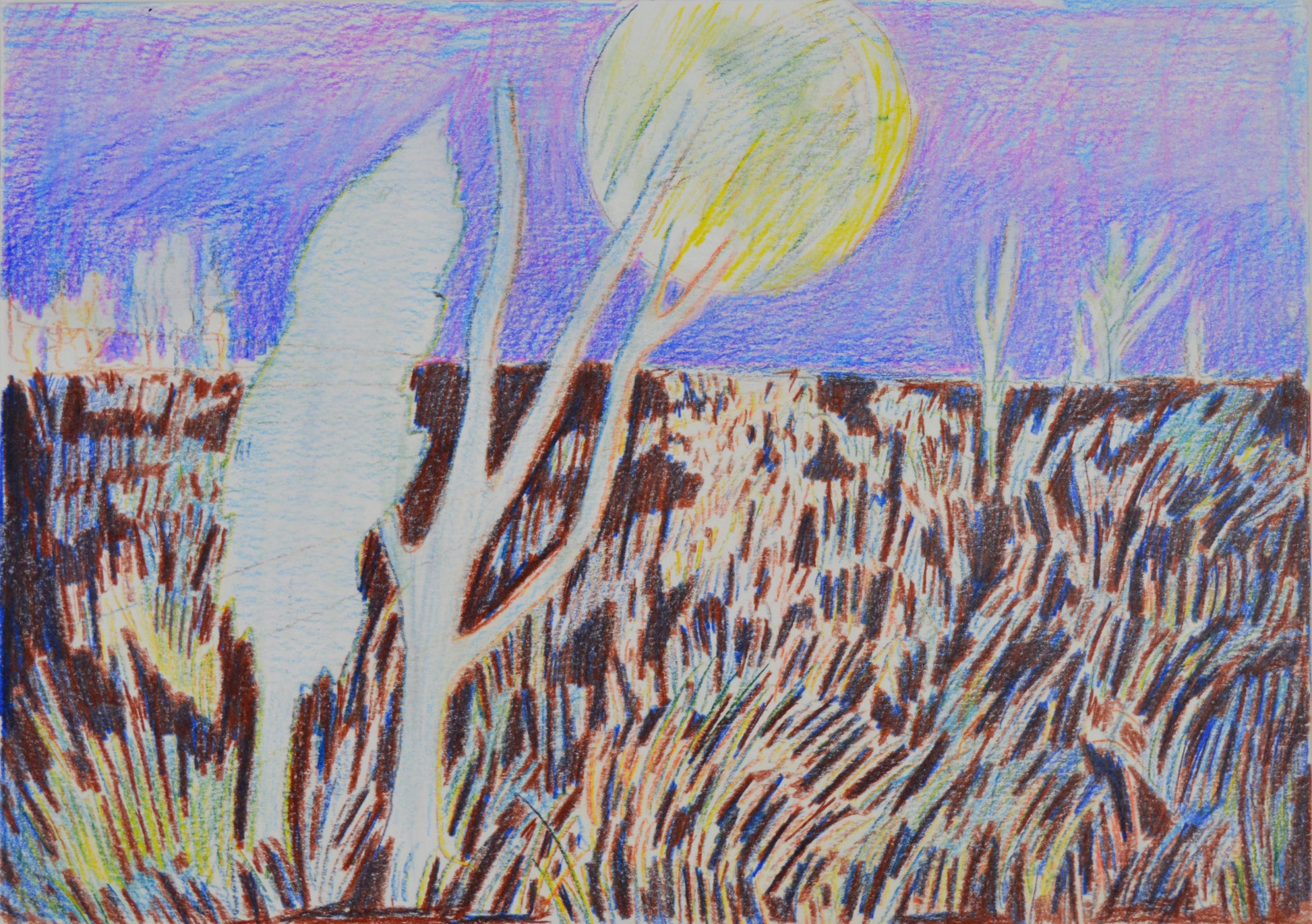 Julie-Ann Simpson Sowing Moonlight