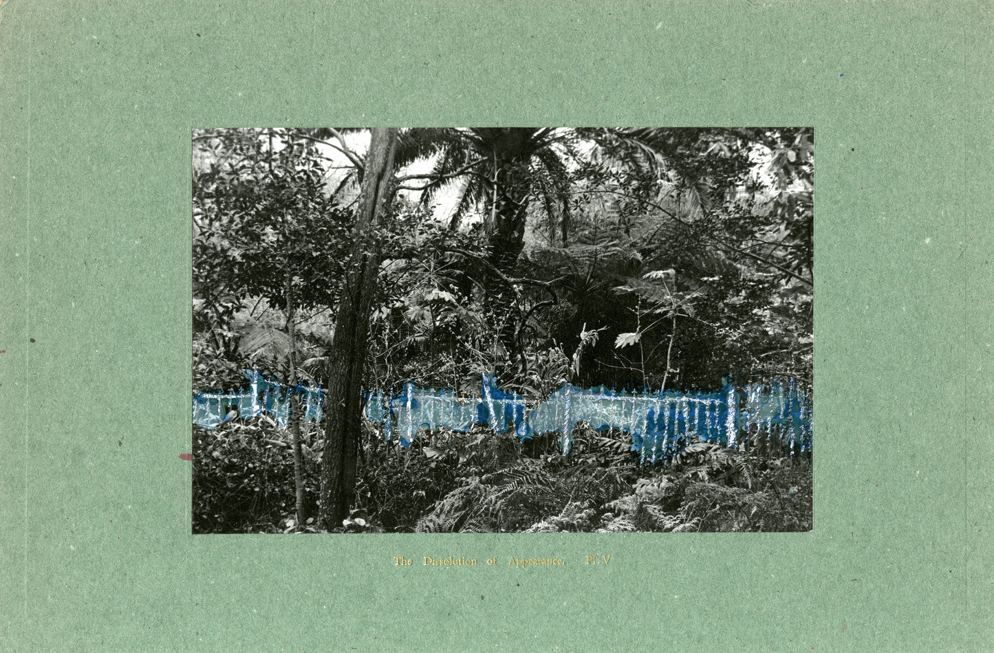 Nicolas Tanner The Dissolution Of Appearance V