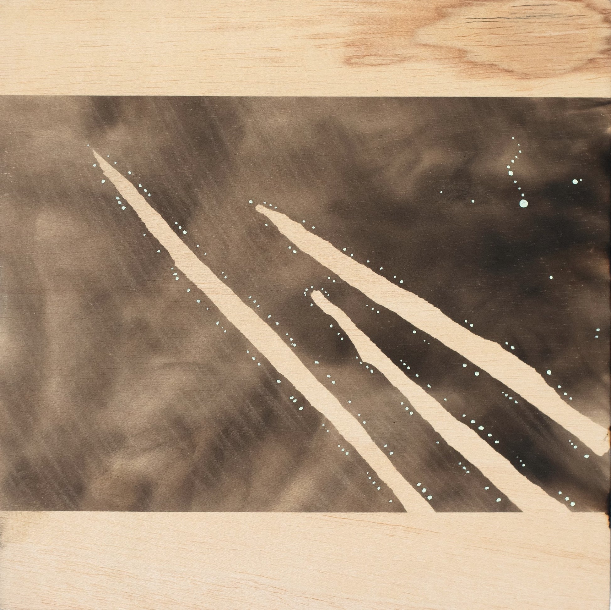 Arta Raituma The Dark Night Peeled and Glowing