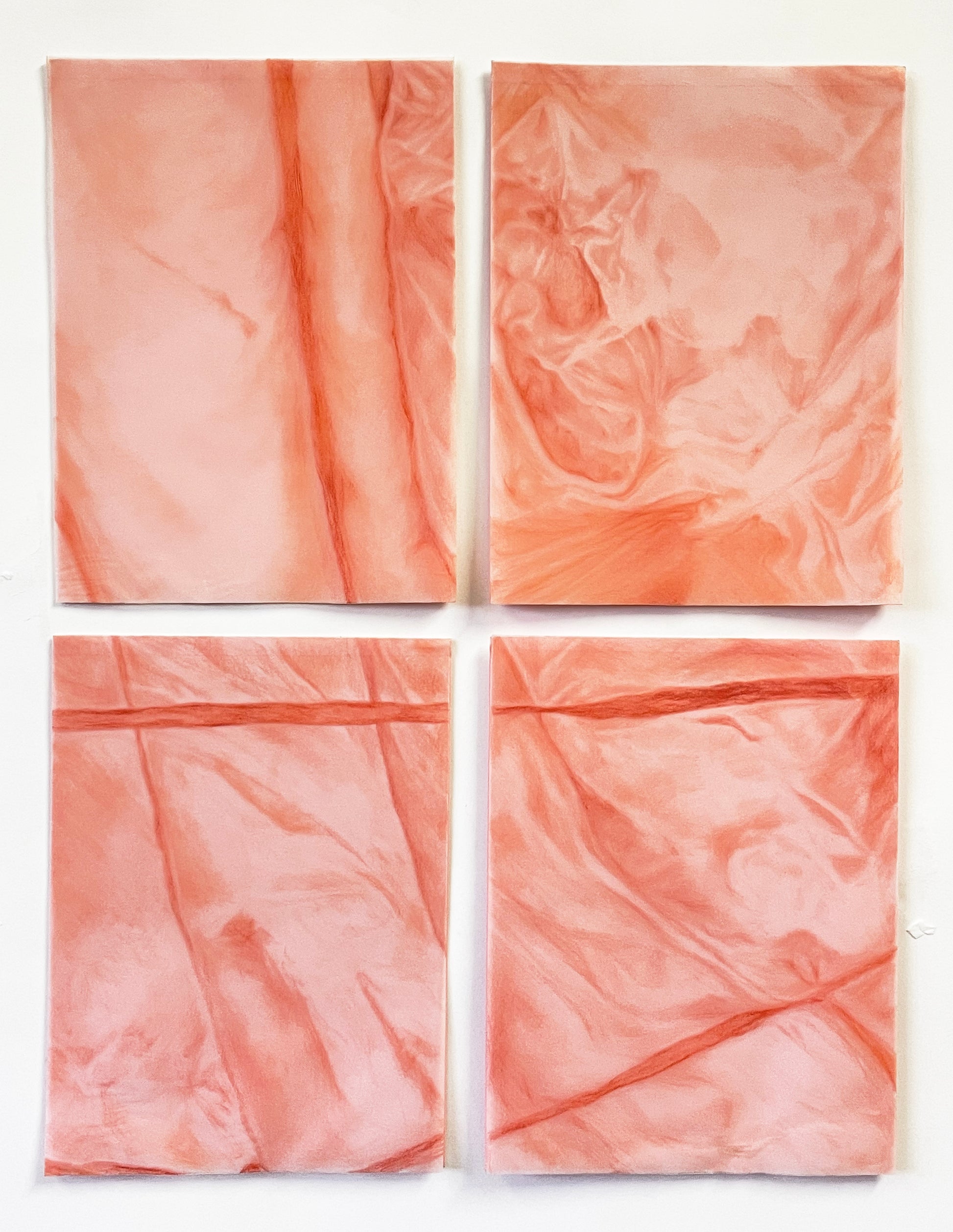 Sylwia Narbutt Transparencies