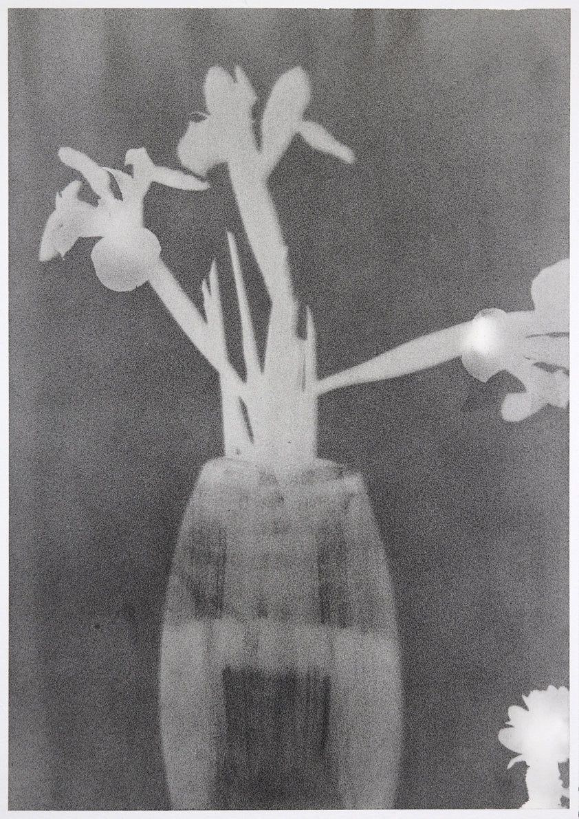 Michael Boffey Vase Plate 3