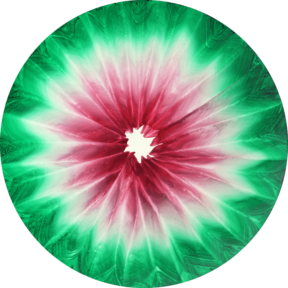 Esmee Seebregts Watermelon